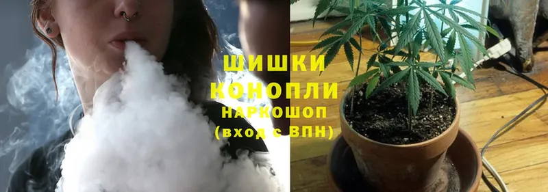 Бошки Шишки White Widow  купить наркотик  Змеиногорск 